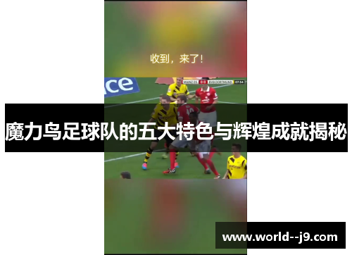 魔力鸟足球队的五大特色与辉煌成就揭秘