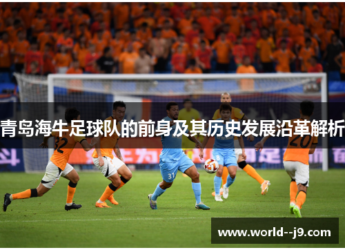 青岛海牛足球队的前身及其历史发展沿革解析 青岛海牛足球队的前身及其历史发展沿革解析